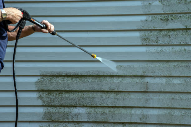 Best Solar Panel Cleaning  in Brookside Village, TX